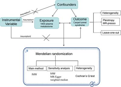 Causal relationship between plasma metabolites and carpal tunnel syndrome risk: evidence from a mendelian randomization study